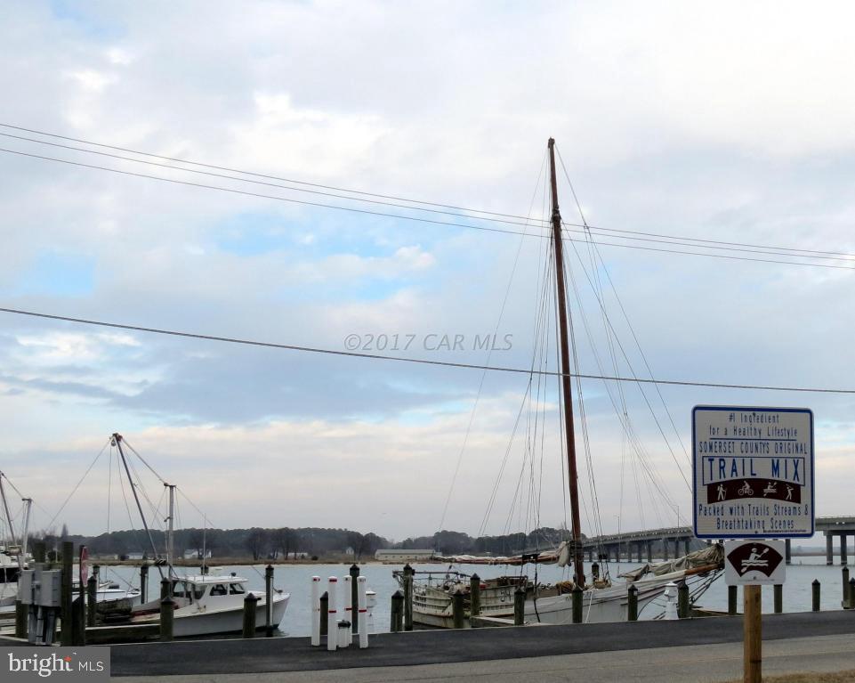 10187 Deal Island Road Deal Island, MD 21821 - Photo 25 of 25 Gallery Image 25