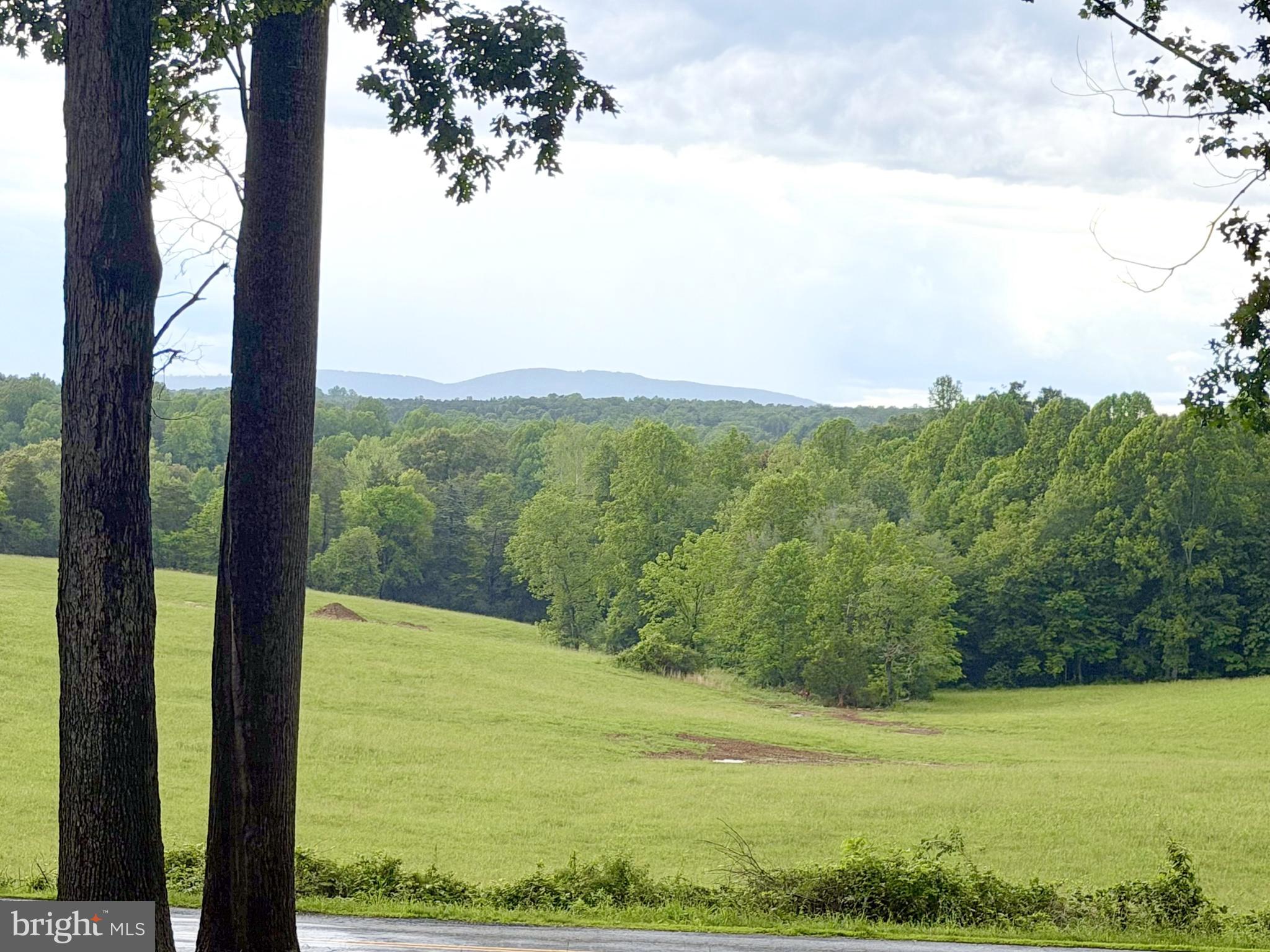 1425 Jacks Shop Road Rochelle, VA 22738 - Photo 3 of 56 a view of an outdoor space and mountain view
