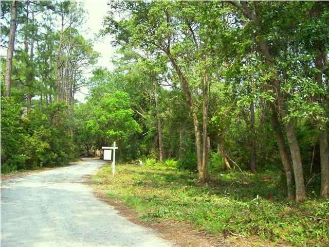 Lot 12 Graytontrails Road Santa Rosa Beach, FL 32459 - Photo 2 of 5 a backyard of a house with lots of green space