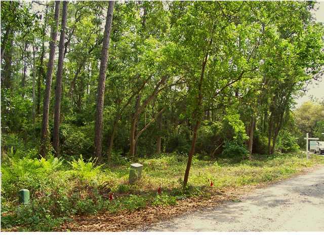 Lot 12 Graytontrails Road Santa Rosa Beach, FL 32459 - Photo 3 of 5 a backyard of a house with lots of green space