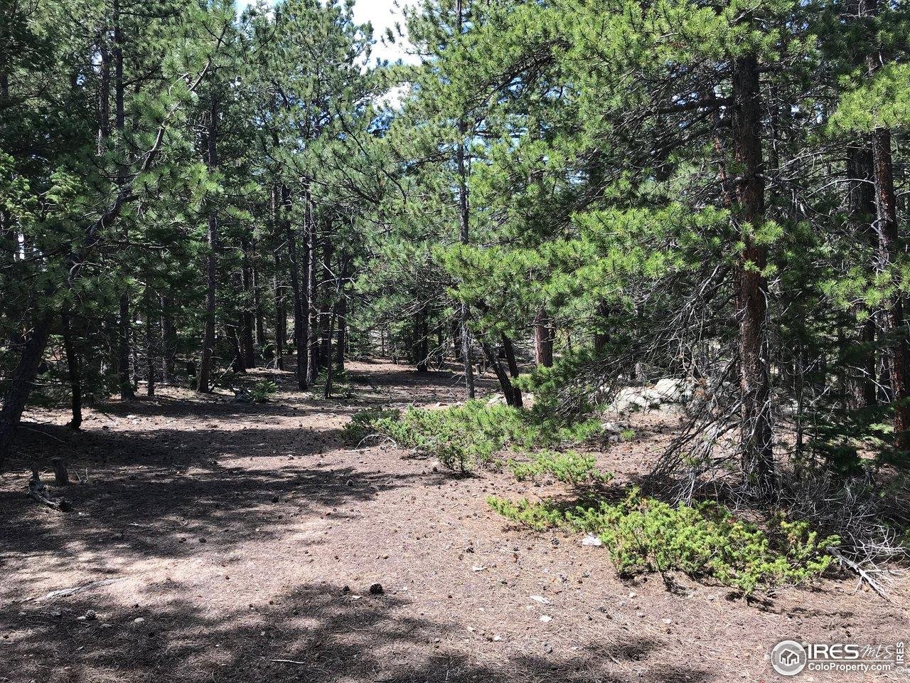 575 Ranch Road Ward, CO 80481 - Photo 2 of 12 Level lot, minimal development required.