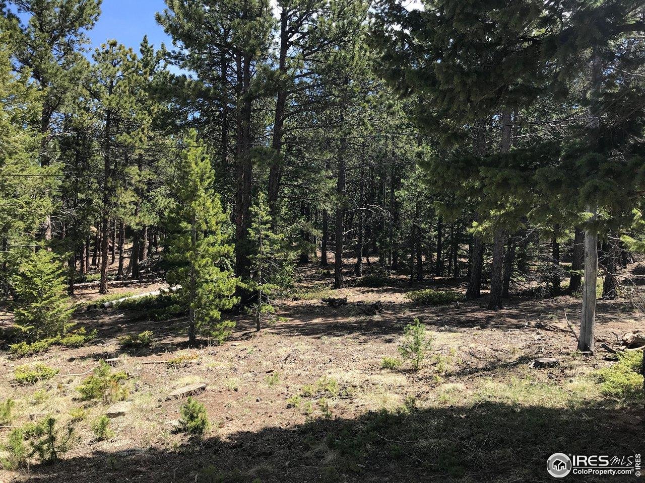 575 Ranch Road Ward, CO 80481 - Photo 3 of 12 A different angle of the lot showing the ease of development and usable acreage.