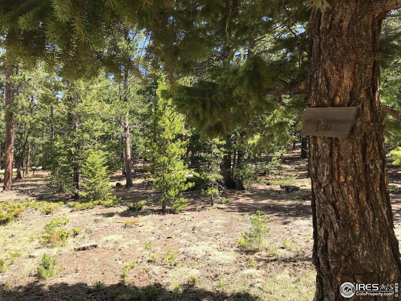 575 Ranch Road Ward, CO 80481 - Photo 5 of 12 Located in the Bar-K subdivision, yet private and secluded.