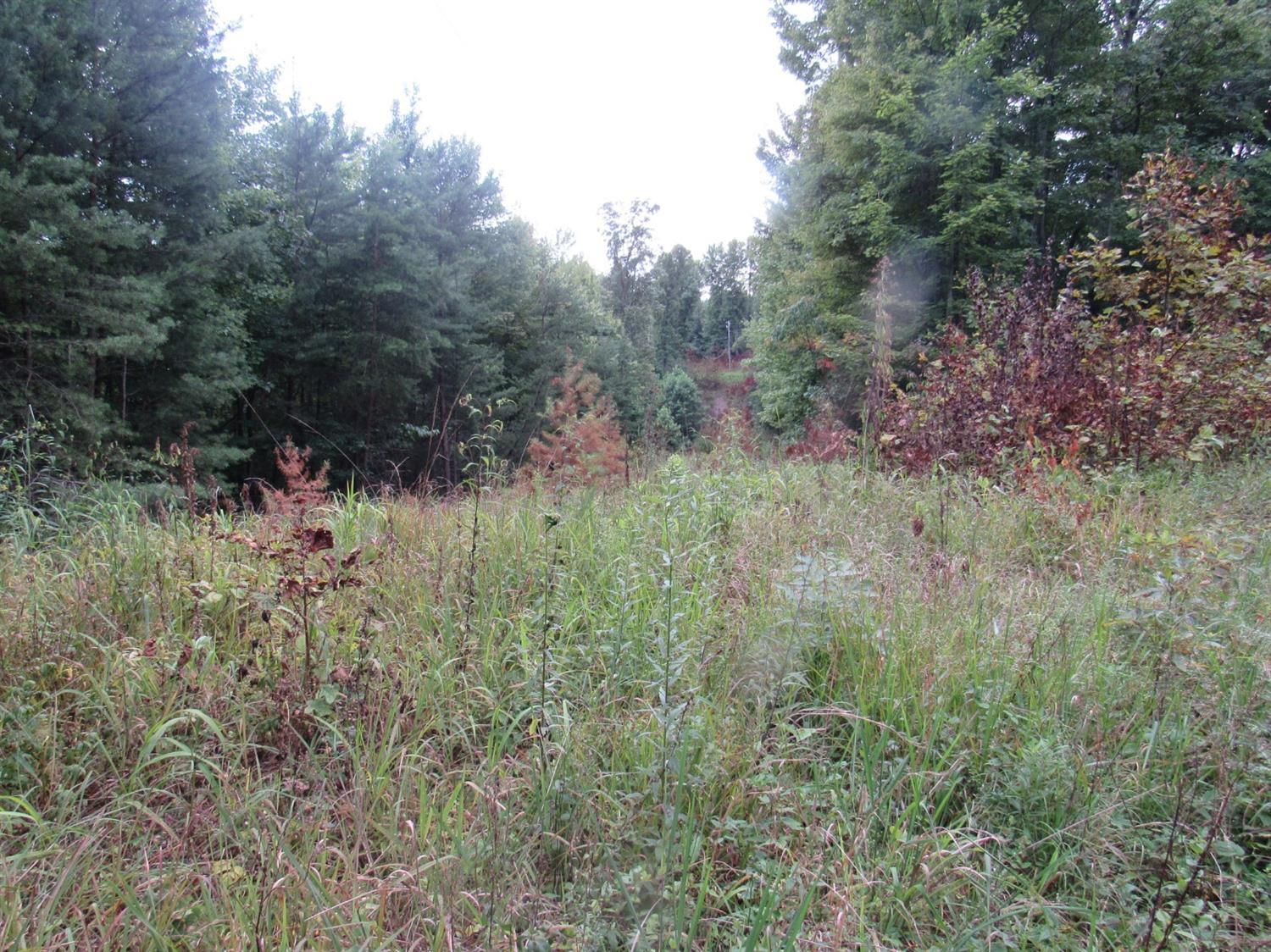 1712 Tom Stamper Road Frenchburg, KY 40322 - Photo 25 of 27 Listing Photo