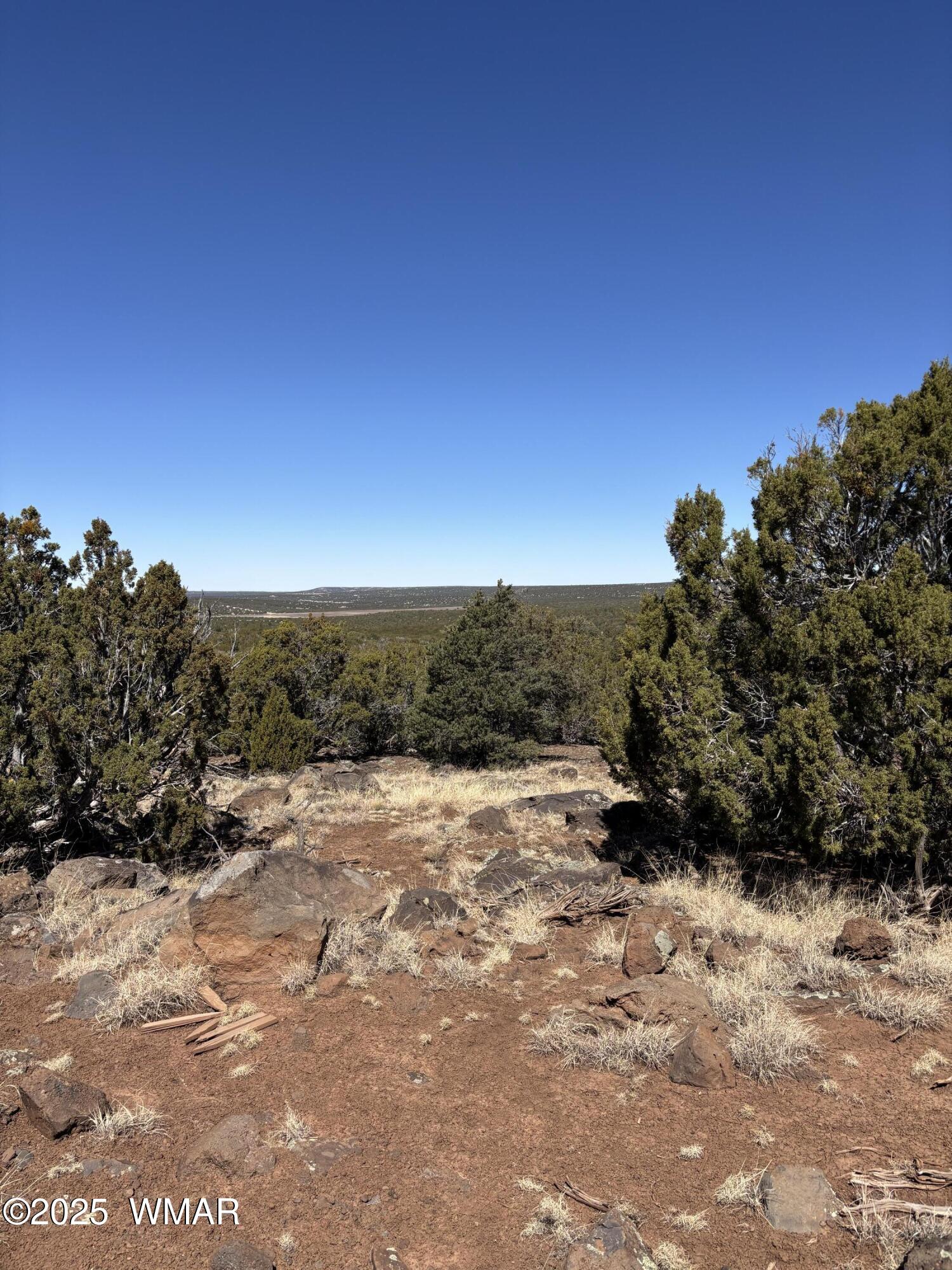 30 County Road Concho, AZ 85924 - Photo 1 of 3 View