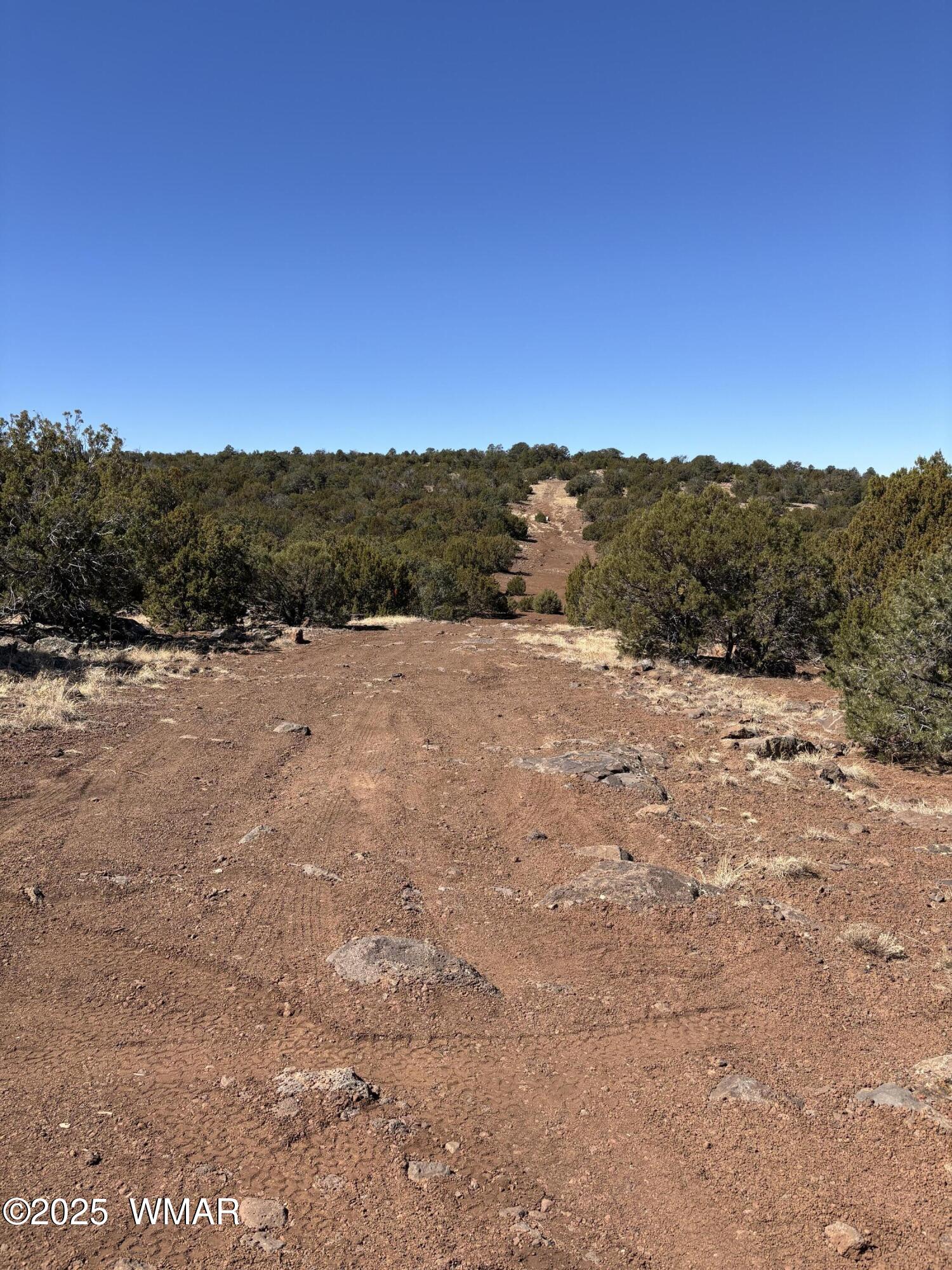 30 County Road Concho, AZ 85924 - Photo 2 of 3 Road