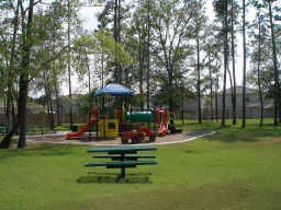 a view of park