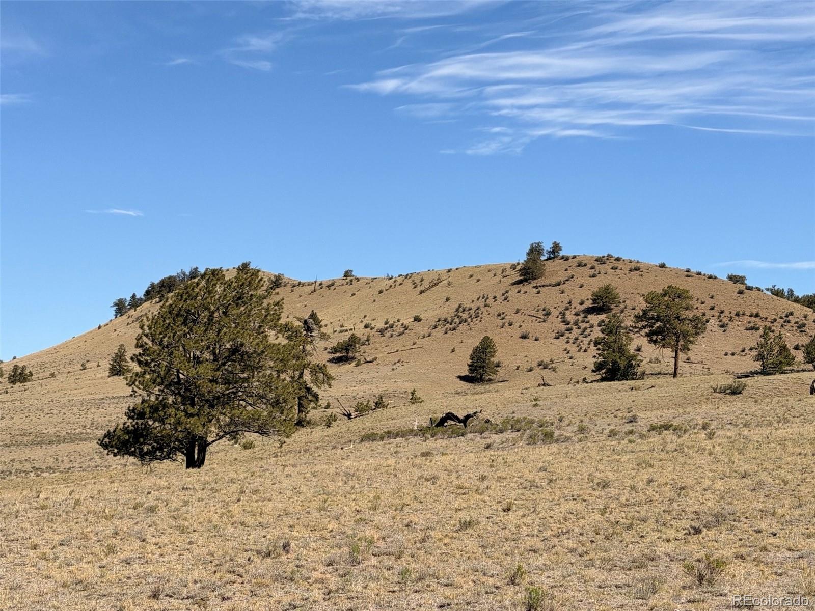 Hardwood Loop Hartsel, CO 80449 - Photo 29 of 38