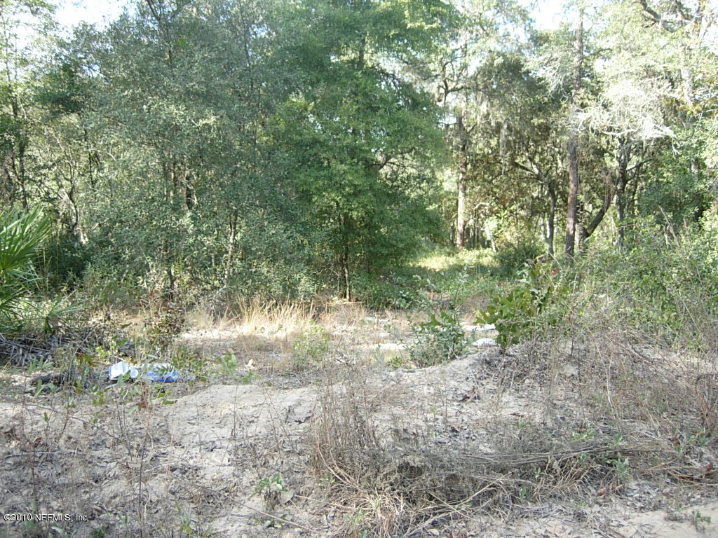 Na-10 Bellamy Road Melrose, FL 32666 - Photo 13 of 15 Property