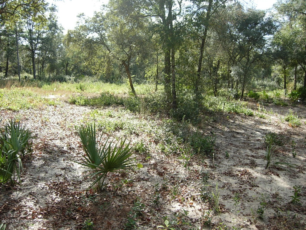 Na-10 Bellamy Road Melrose, FL 32666 - Photo 2 of 15 Property