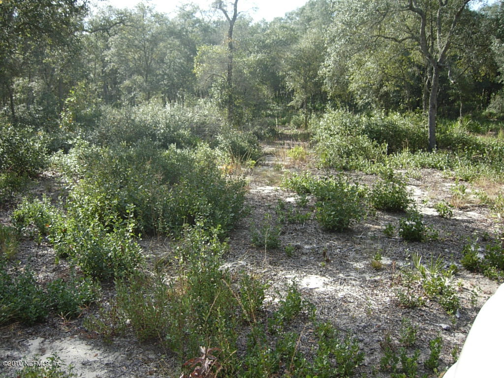 Na-10 Bellamy Road Melrose, FL 32666 - Photo 3 of 15 Property