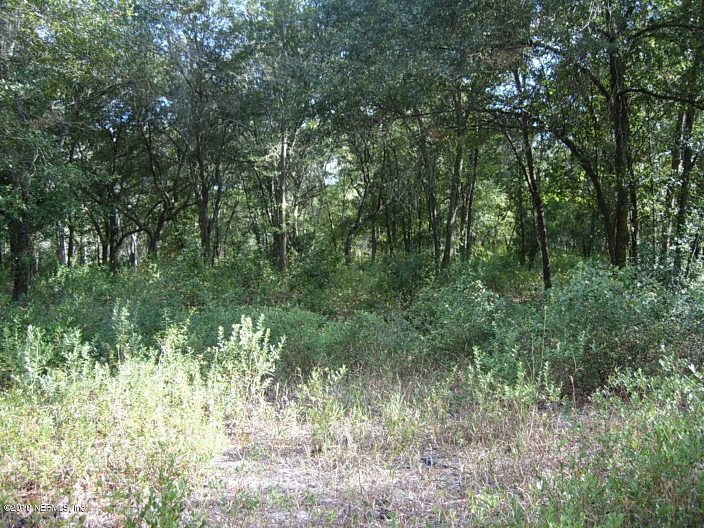 Na-10 Bellamy Road Melrose, FL 32666 - Photo 10 of 15 Property