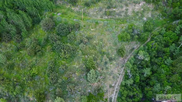 $120,000 | Lot 1 Swan Valley Highway, Irwin, ID 83428