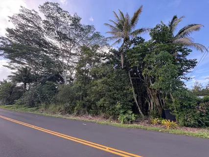 a view of a street with a tree