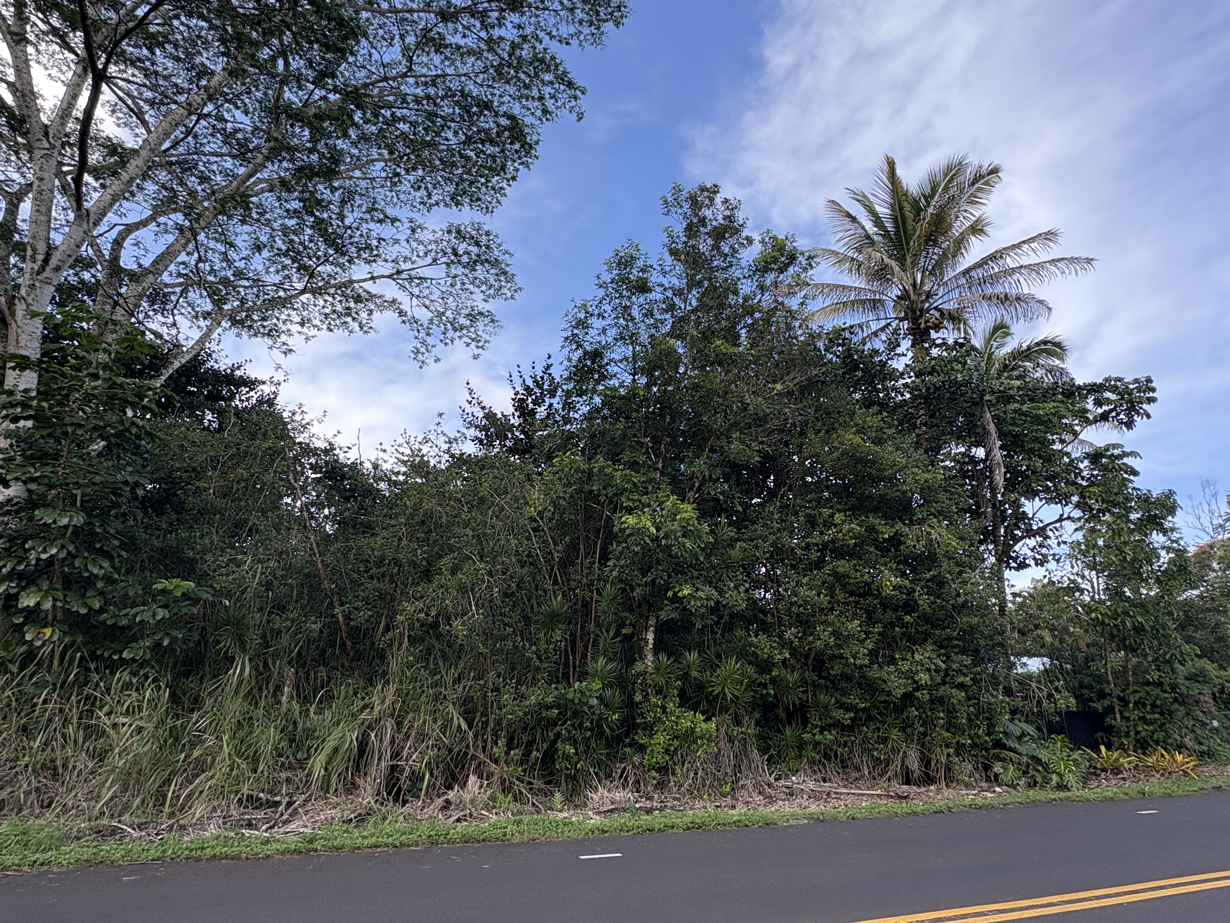 28 Kahakai Boulevard Pahoa, HI 96778 - Photo 4 of 8 a view of a garden