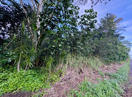 a backyard of a house with lots of green space