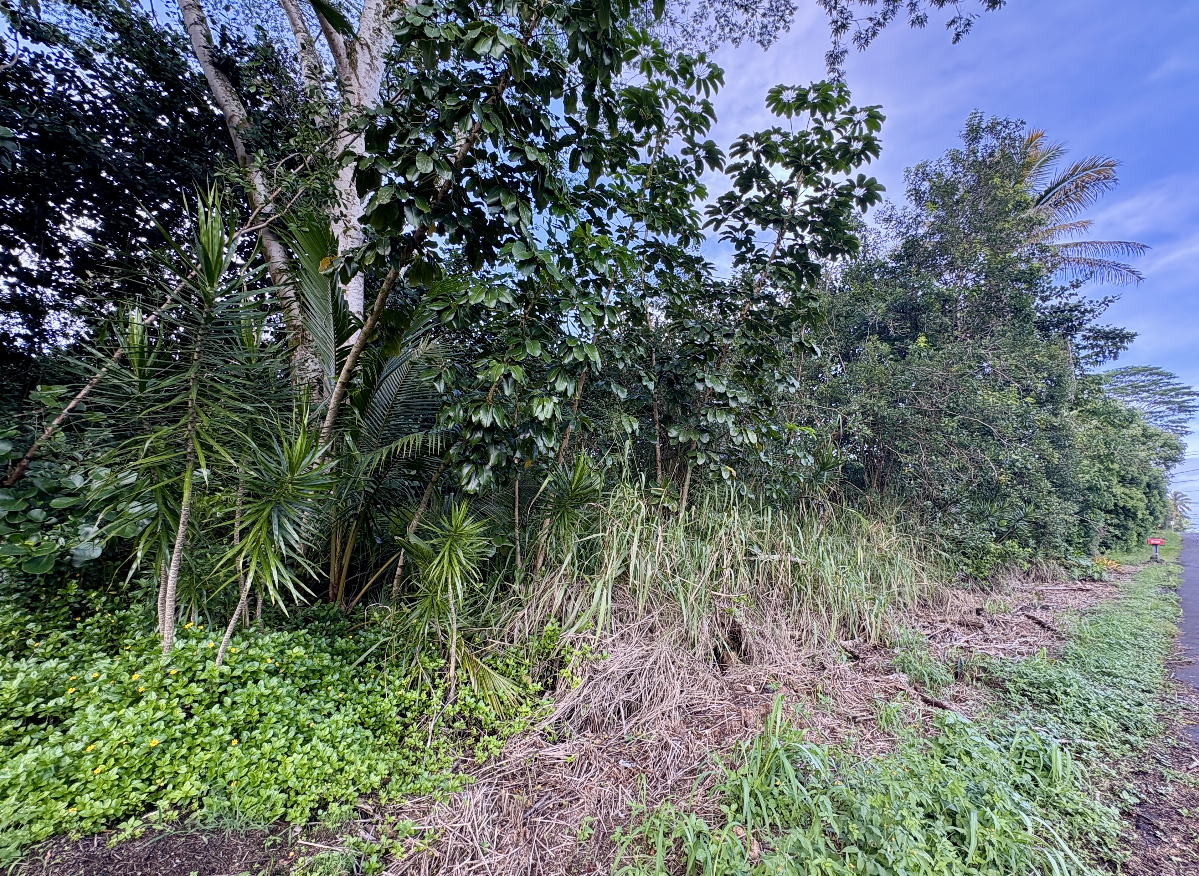 28 Kahakai Boulevard Pahoa, HI 96778 - Photo 5 of 8 a backyard of a house with lots of green space