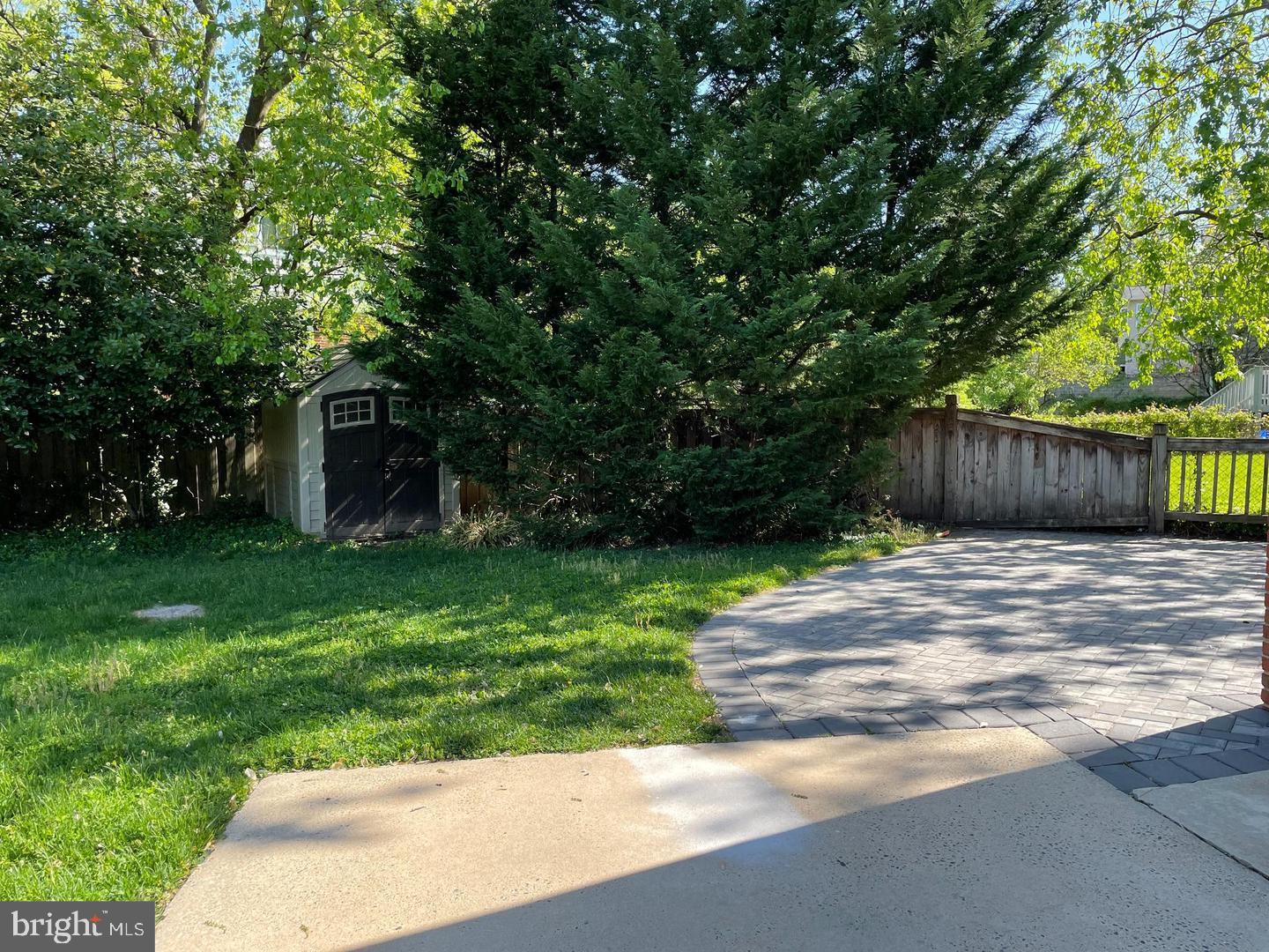 2315 Plyers Mill Road Silver Spring, MD 20902 - Photo 27 of 28 a view of a yard with plants and large trees