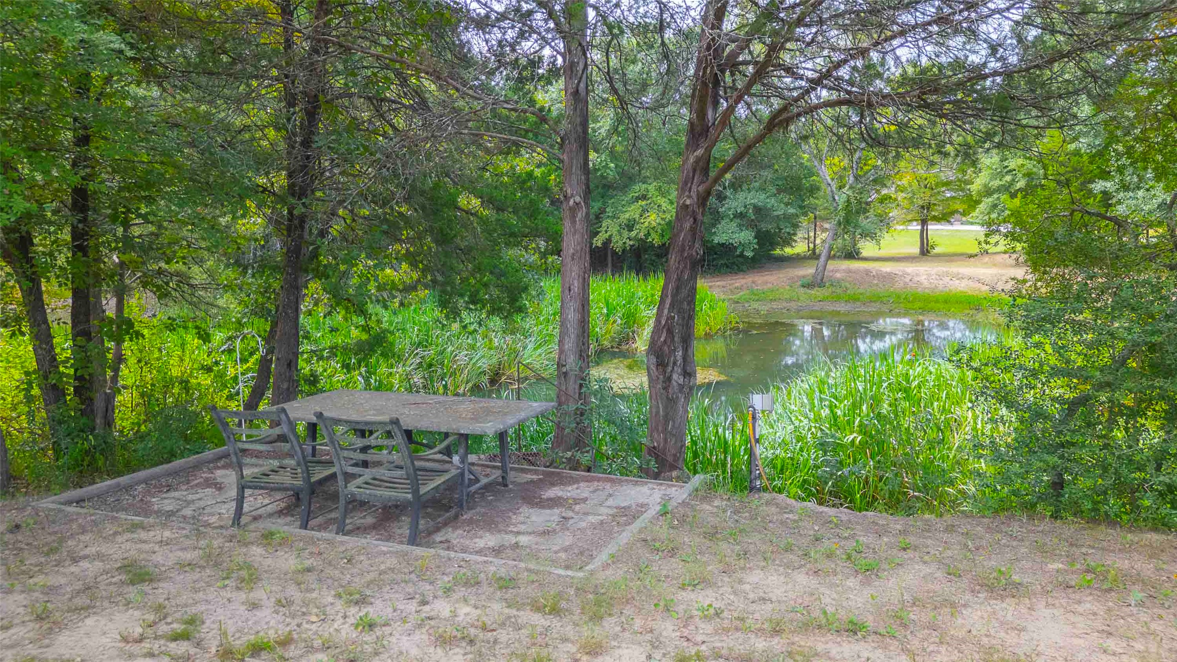 9695 County Road 321 Caldwell, TX 77836 - Photo 29 of 40 a view of a garden with plants and large trees