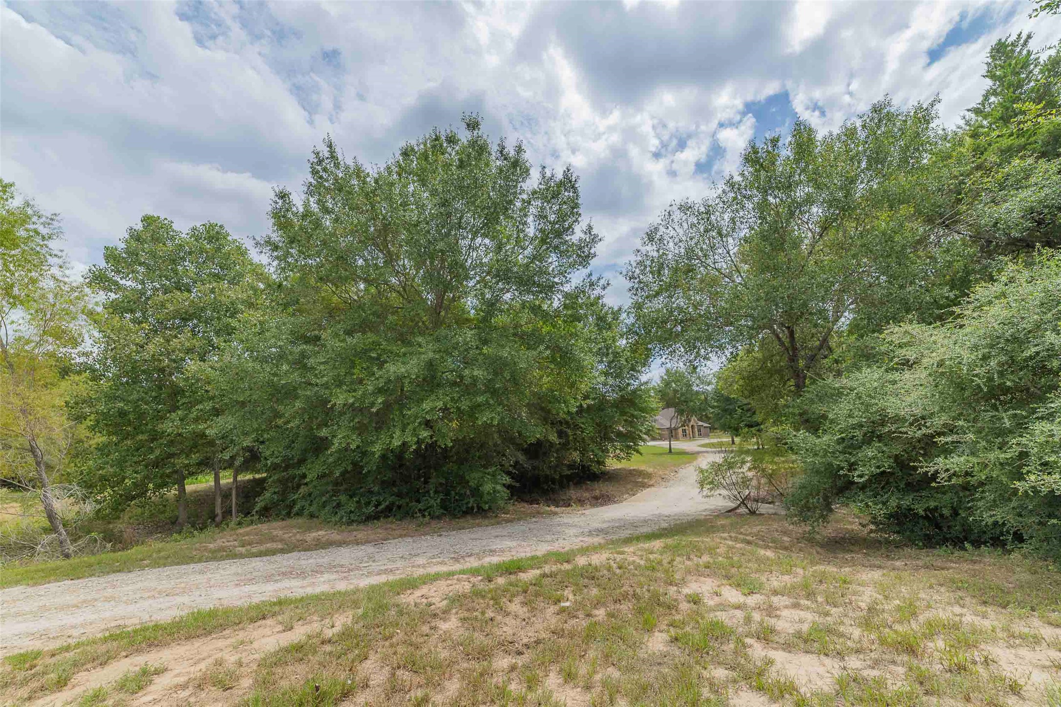9695 County Road 321 Caldwell, TX 77836 - Photo 32 of 40 a view of a yard with plants and trees