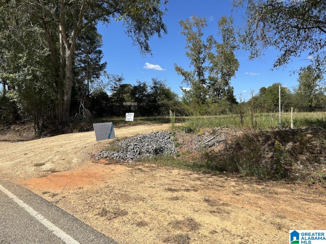 North Hagler Road Northport, AL 35475 - Photo 10 of 12