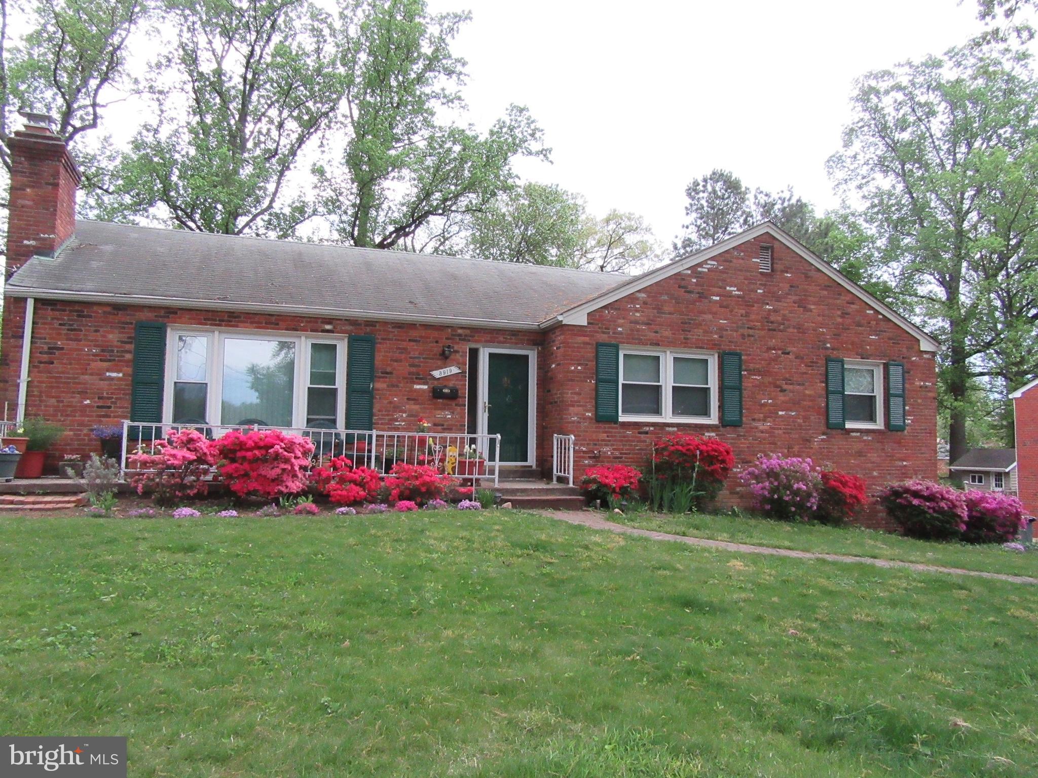 3919 Chesterbrook Road Arlington, VA 22207 - Photo 21 of 21 Springtime