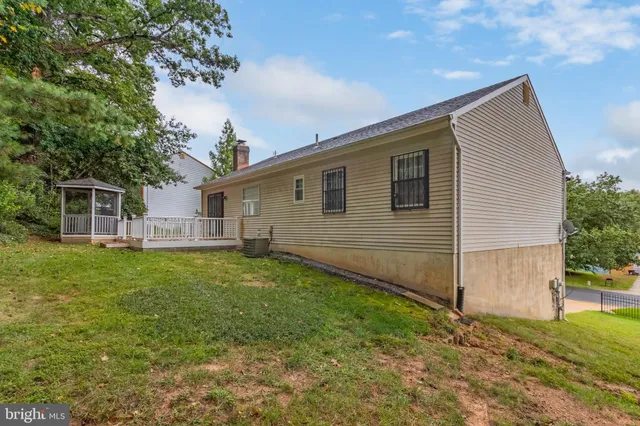a view of a backyard with plants and large tree