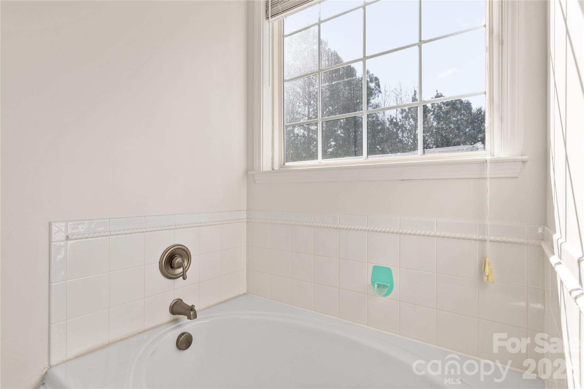 2341 Valley Meadows Drive York, SC 29745 - Photo 22 of 46 a bathroom with a tub