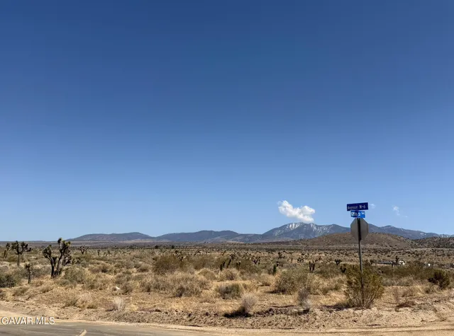a lamp is sitting in the middle of a field
