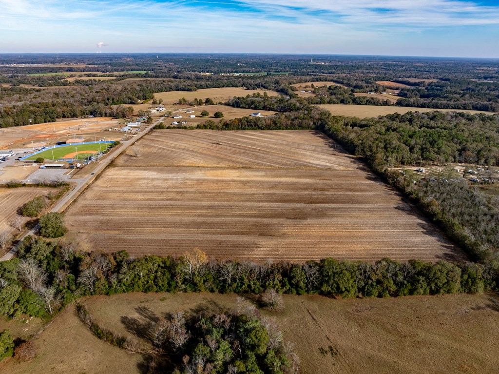 51.8-ac Hadden Road Dothan, AL 36301 - Photo 10 of 43