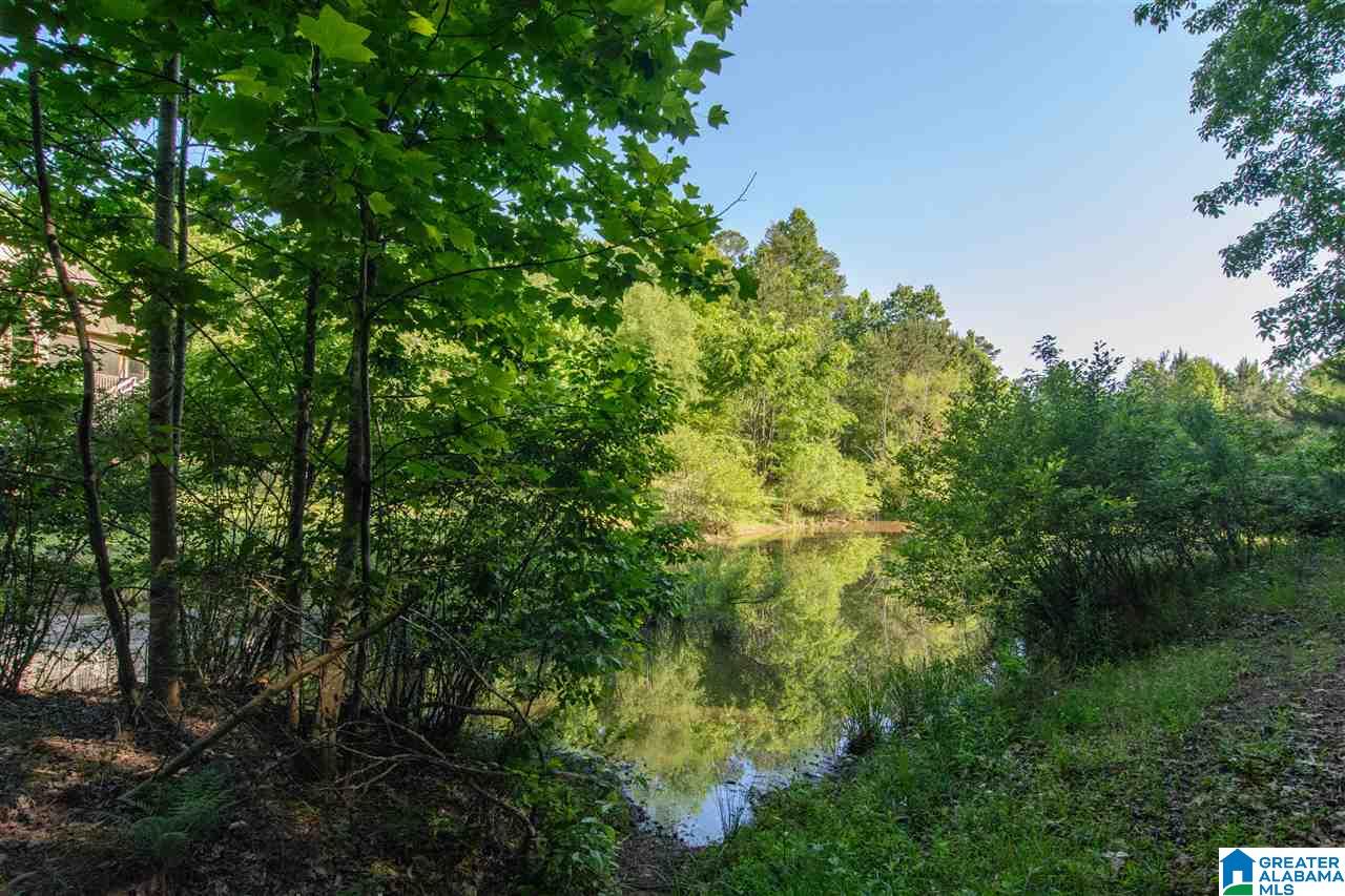 363 North Lake Road Birmingham, AL 35242 - Photo 46 of 50
