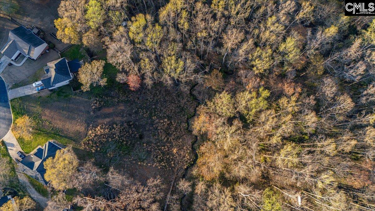 420 Lightwood Farm Road Woodruff, SC 29388 - Photo 3 of 12