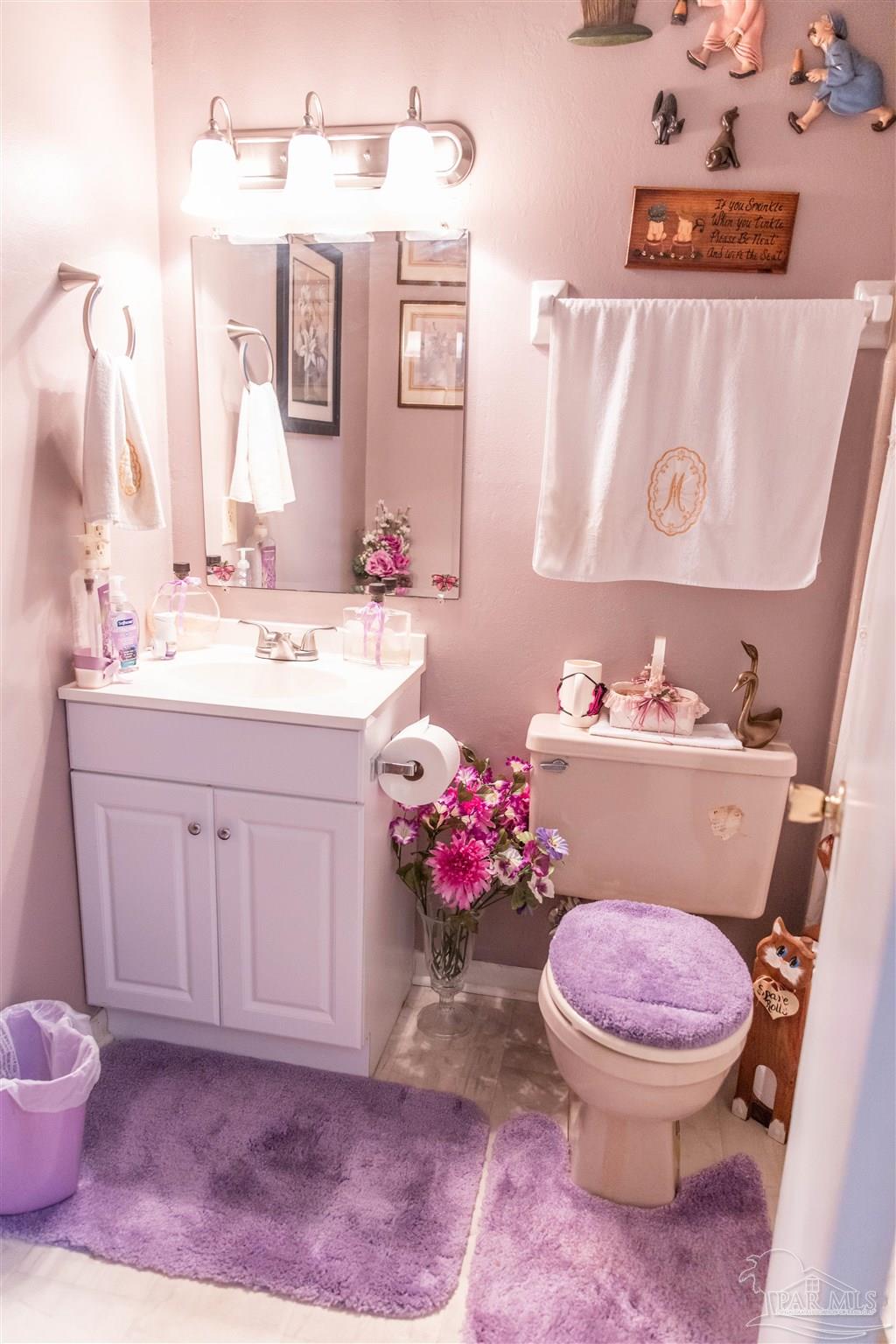 7569 Pine Meadows Loop Milton, FL 32571 - Photo 23 of 25 a bathroom with a sink mirror vanity and toilet