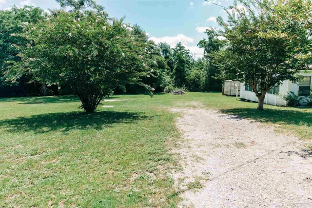 a view of a yard with a tree