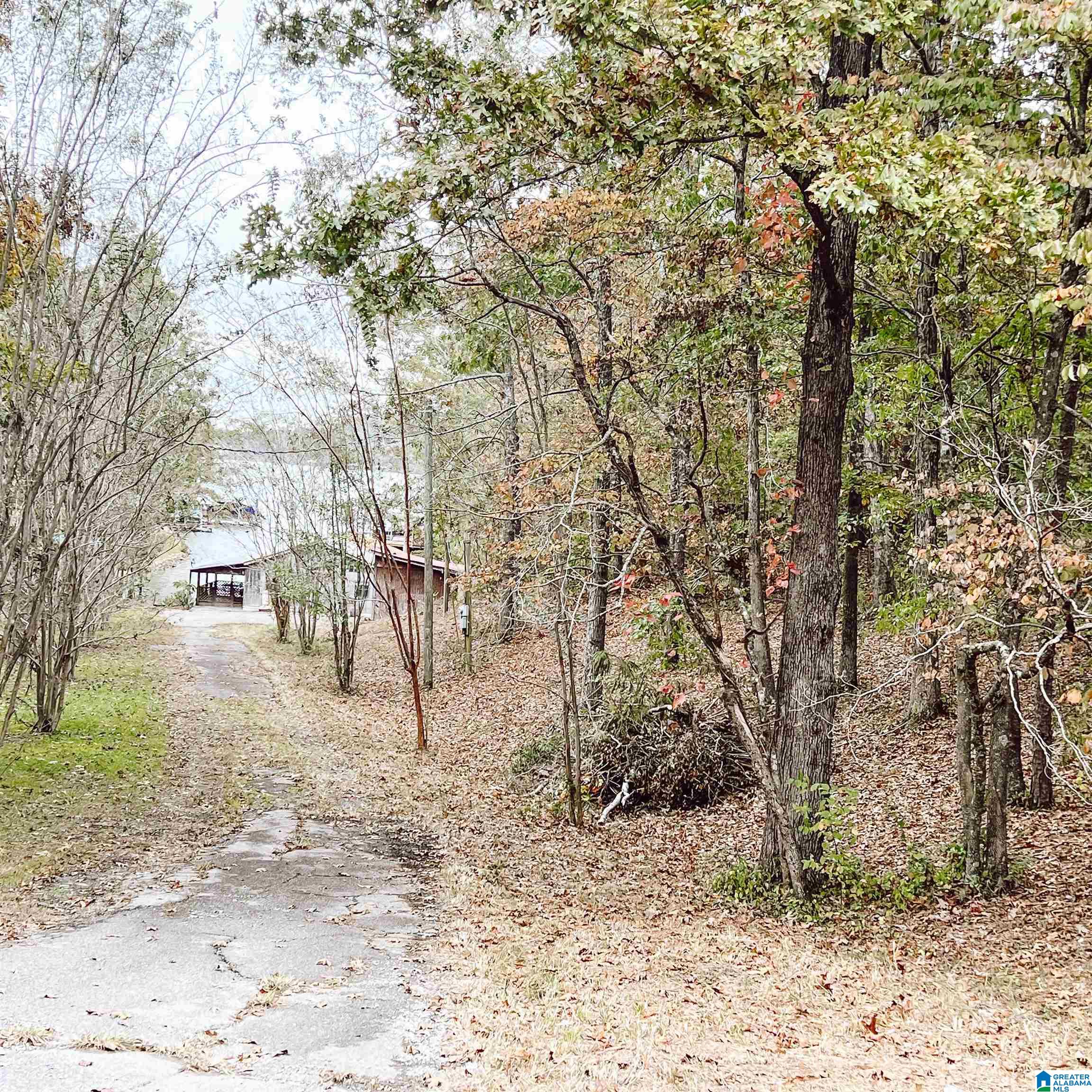 355 Pebble Beach Road, Unit 35 Ashville, AL 35953 - Photo 23 of 33
