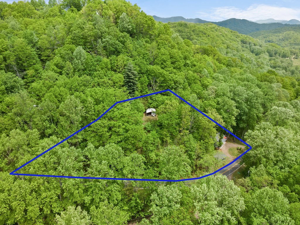 4187 West Old Murphy Road Franklin, NC 28734 - Photo 51 of 54