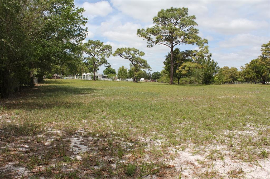8225 Wakeford Road Lake Wales, FL 33898 - Photo 96 of 98