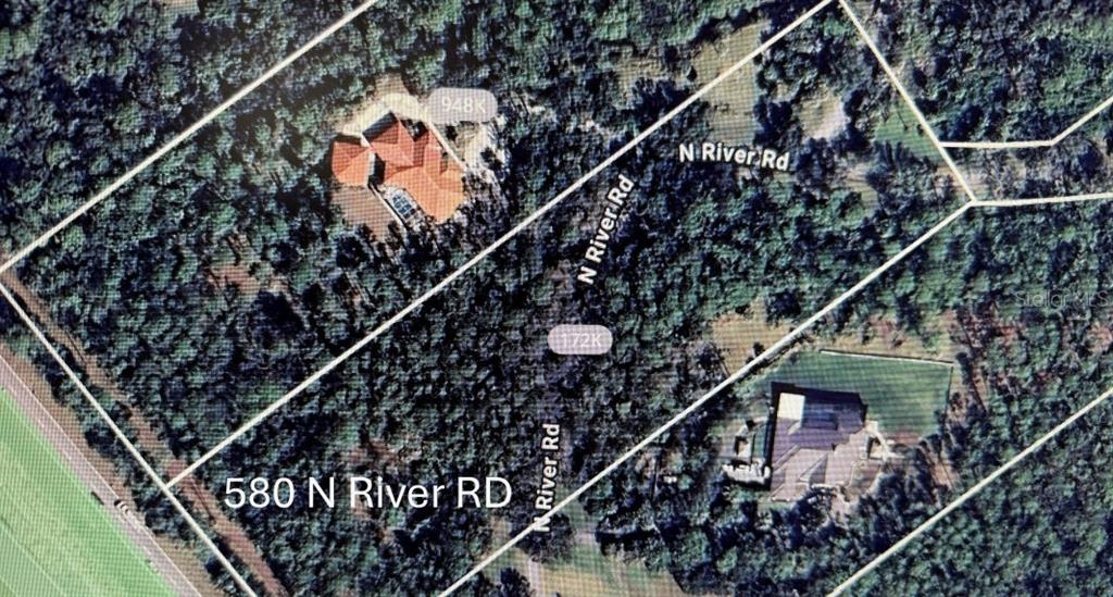 a picture of stairs and a potted plant