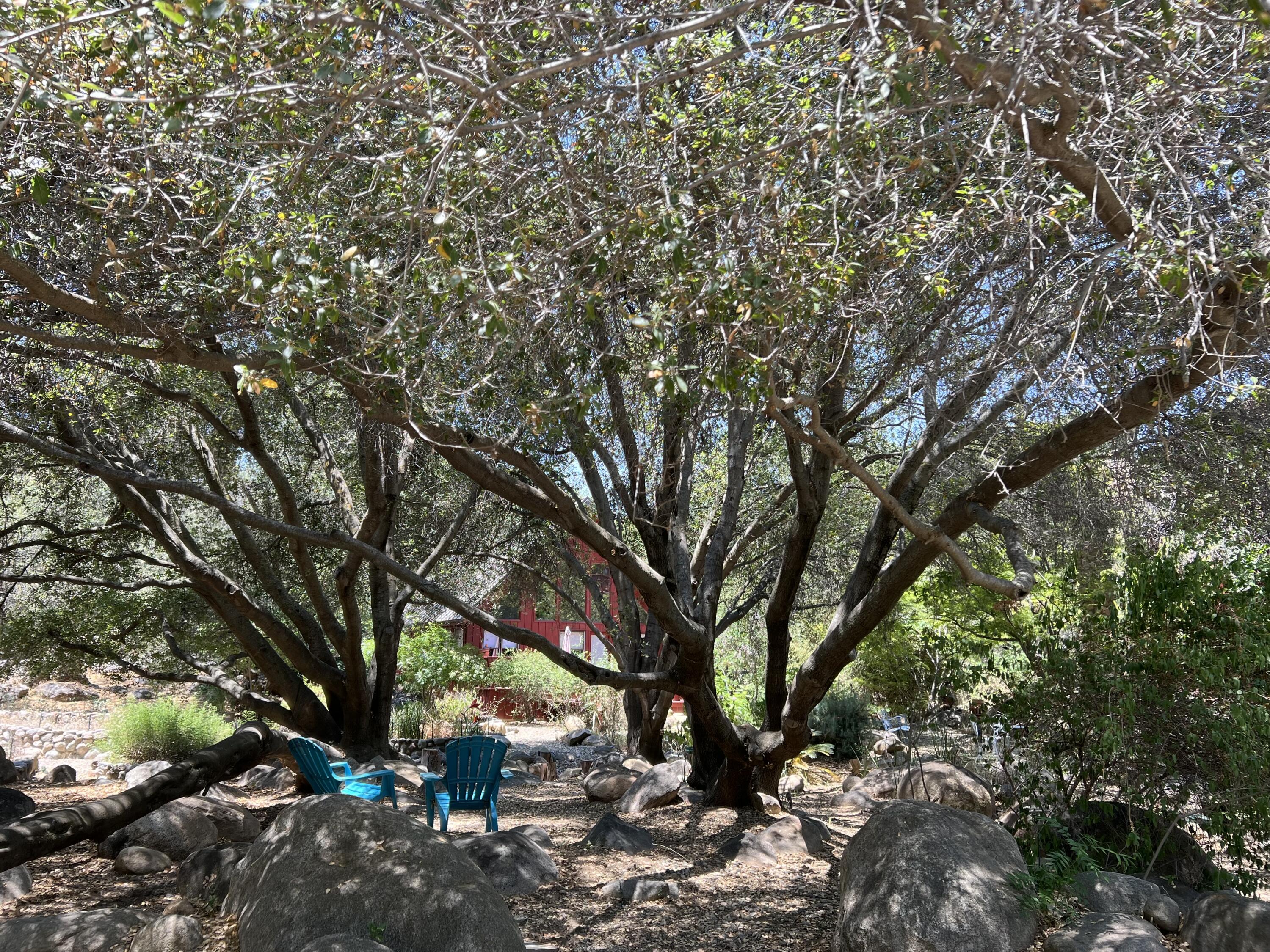 44575 South Fork Drive Three Rivers, CA 93271 - Photo 35 of 59 IMG_9037