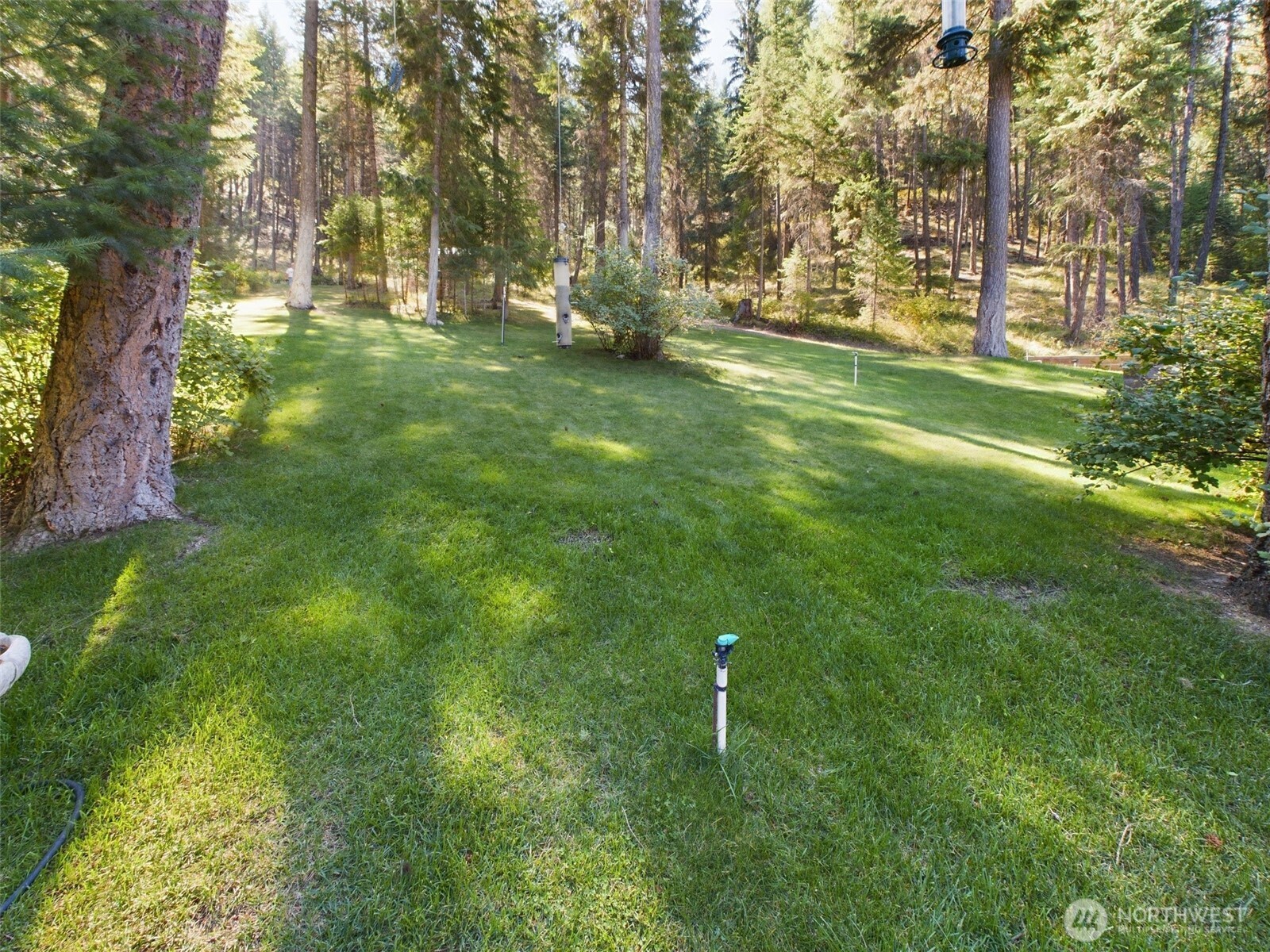 181 Empire Creek Road Malo, WA 99150 - Photo 37 of 38 Gallery Image 37
