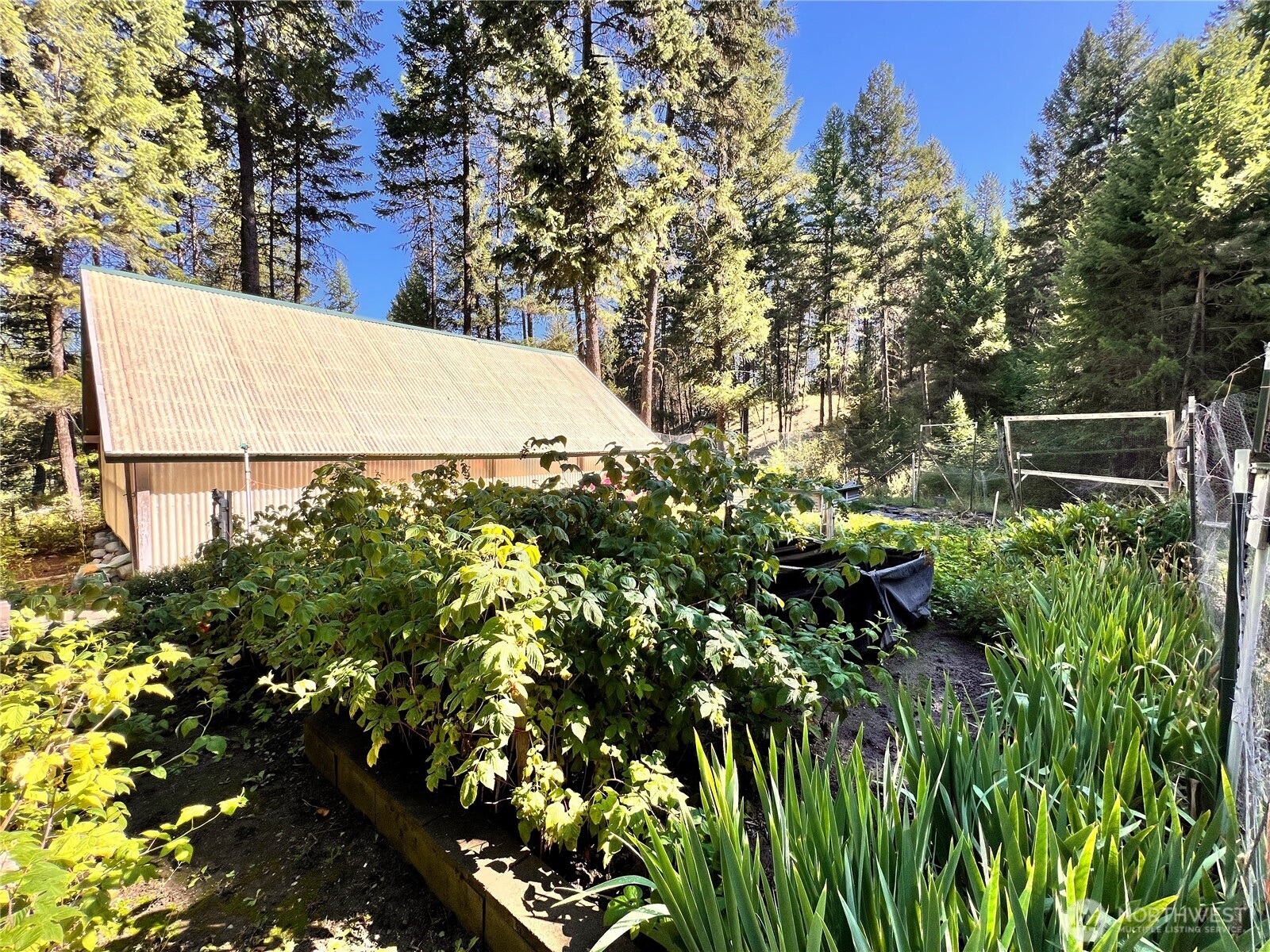 181 Empire Creek Road Malo, WA 99150 - Photo 38 of 38 Gallery Image 38