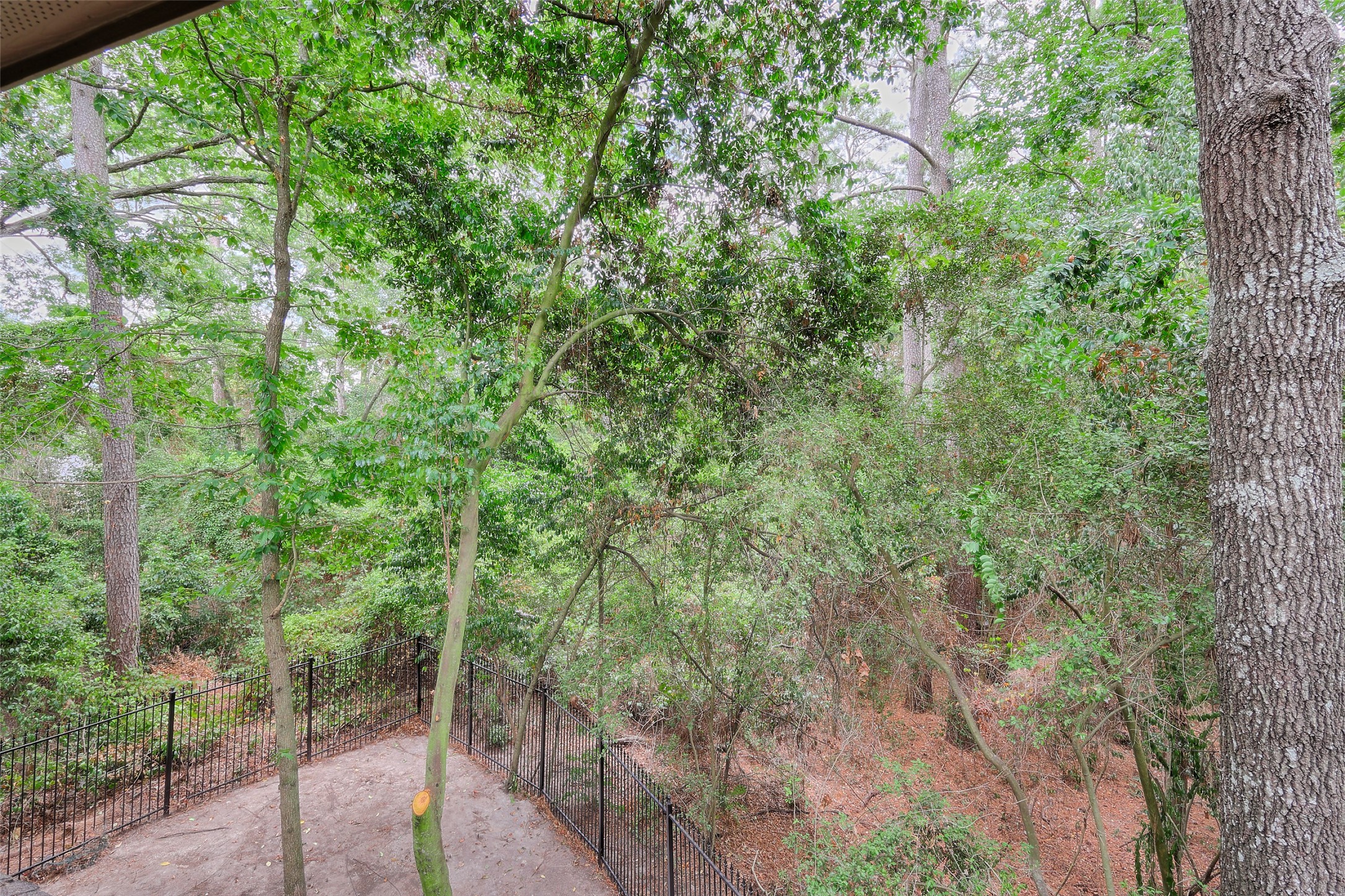 10 Hancock Street Conroe, TX 77301 - Photo 31 of 38