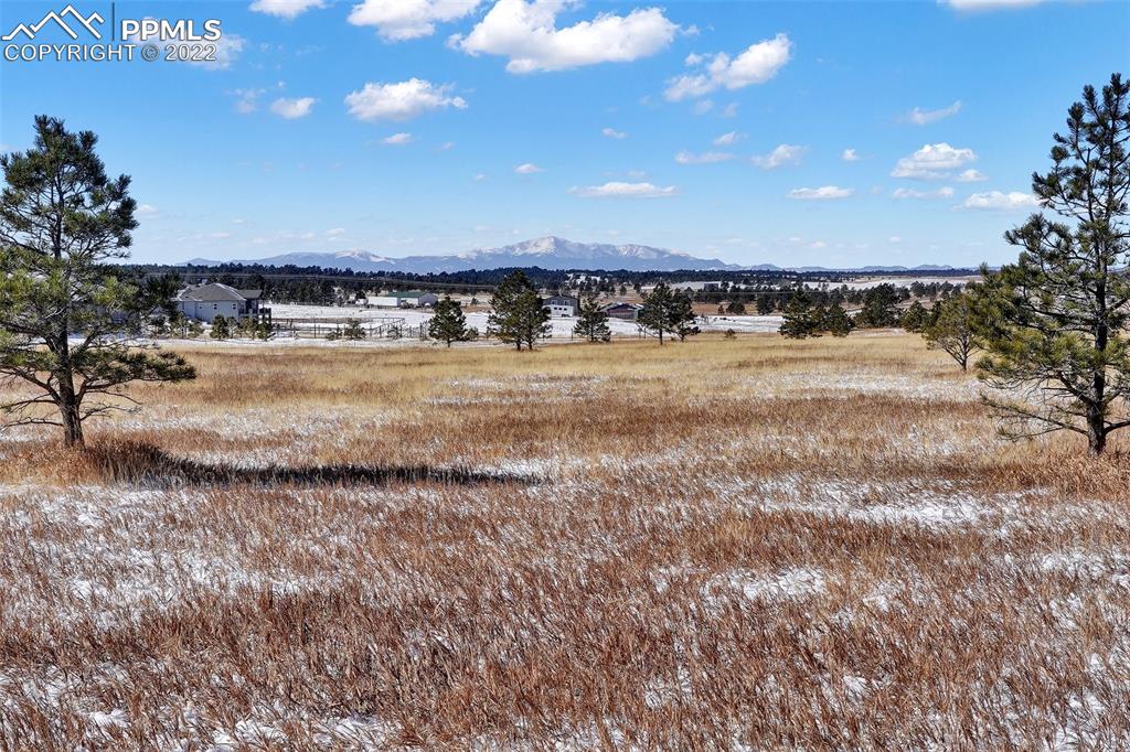 17615 Blacksmith Drive Peyton, CO 80831 - Photo 1 of 15 a view of a swimming pool and an outdoor seating