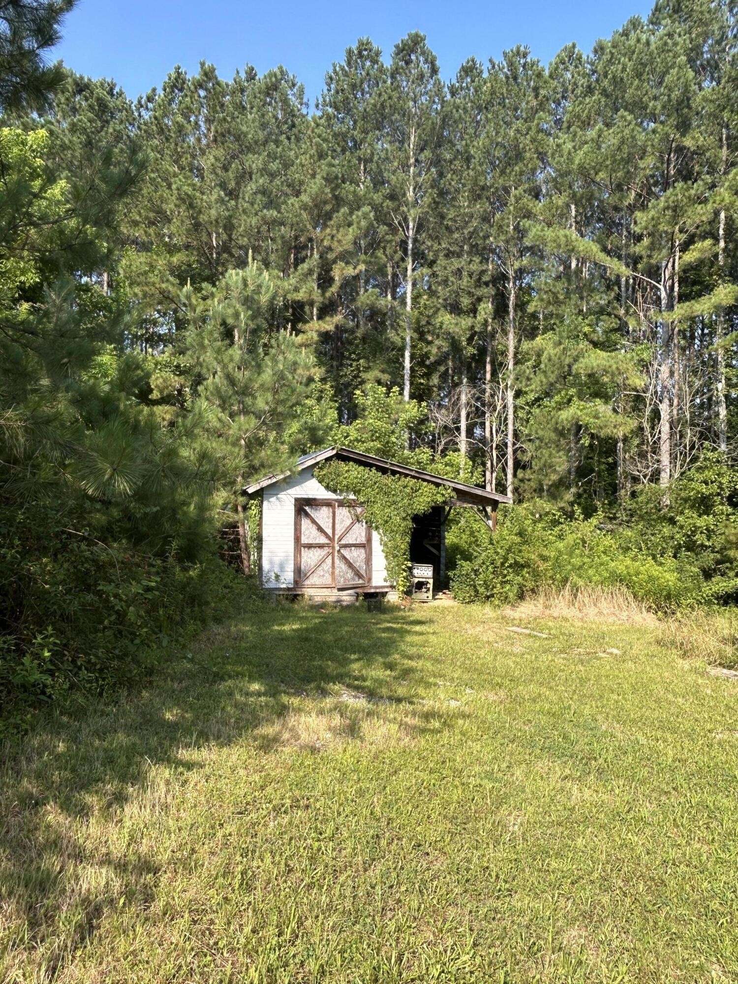 1360 Bucks Pocket Road Southeast Old Fort, TN 37362 - Photo 11 of 12