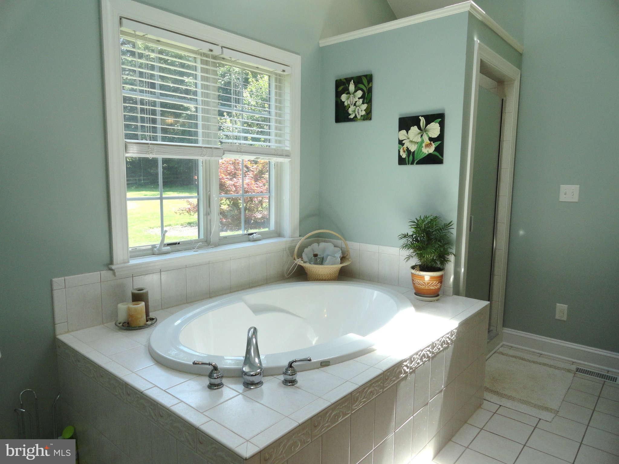 2241 Engle Road Fallston, MD 21047 - Photo 13 of 30 Soaking Tub with Separate Shower