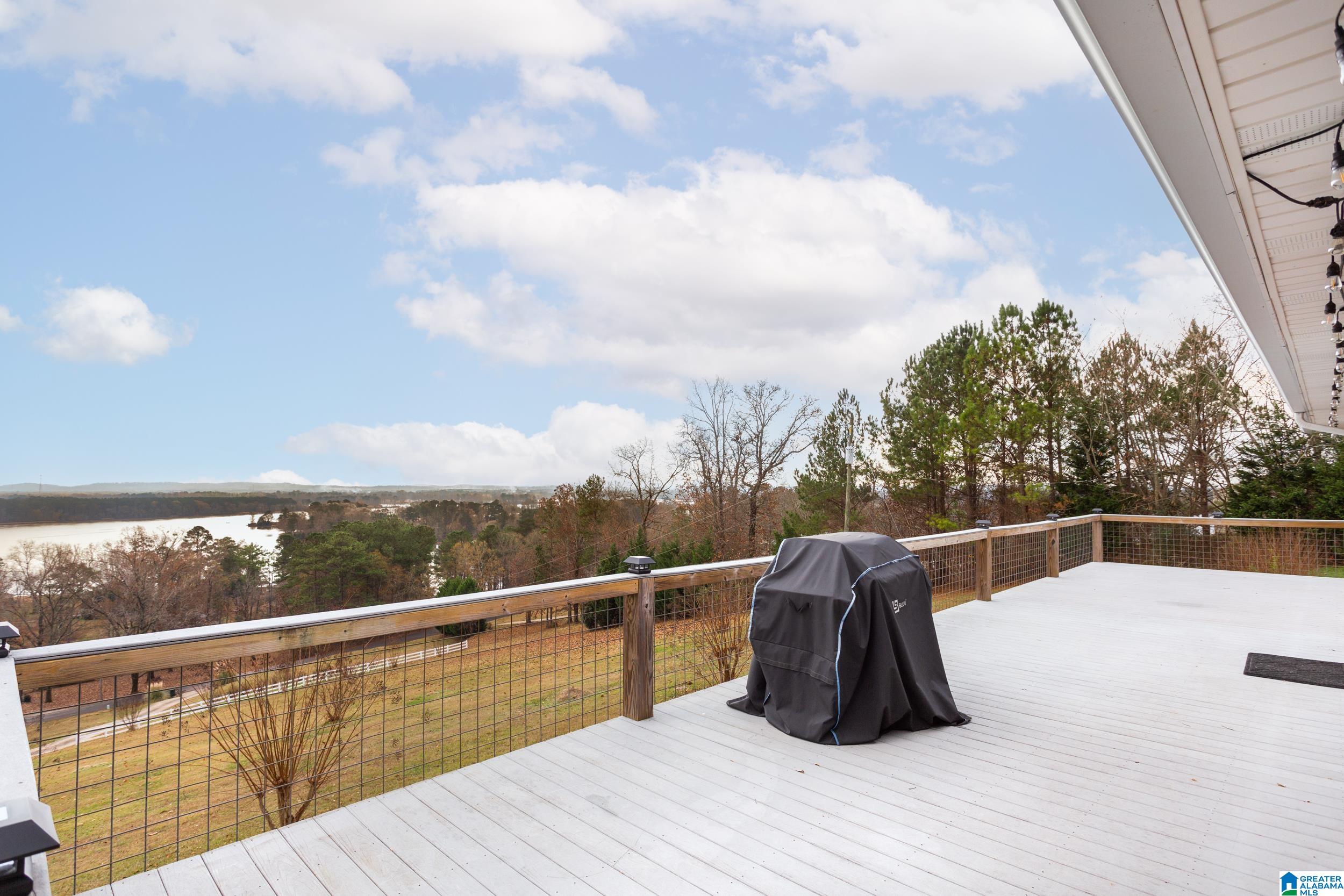 443 Lock 4 Road Riverside, AL 35135 - Photo 10 of 43