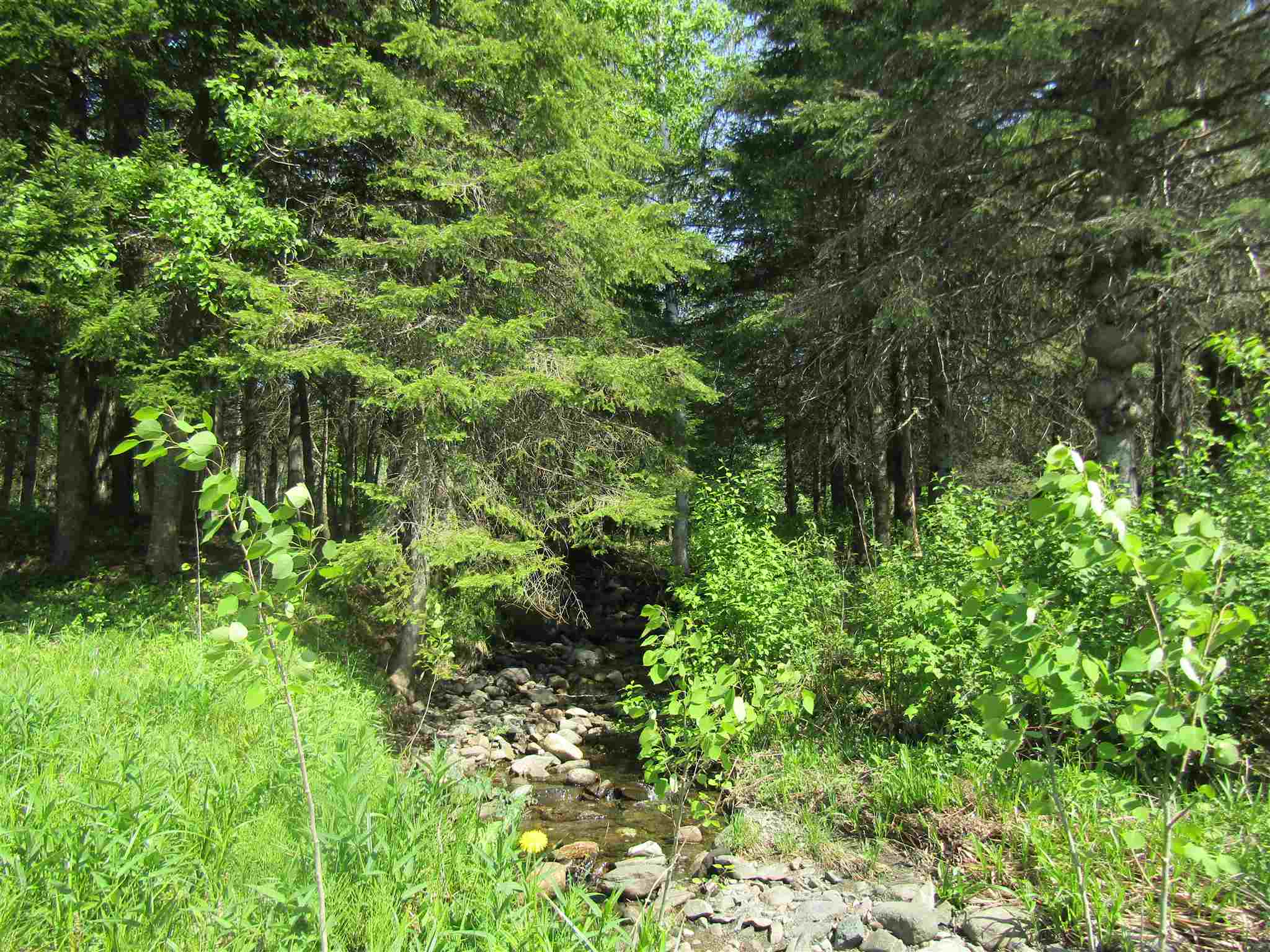 - Bungy Road Colebrook, NH 03576 - Photo 4 of 4