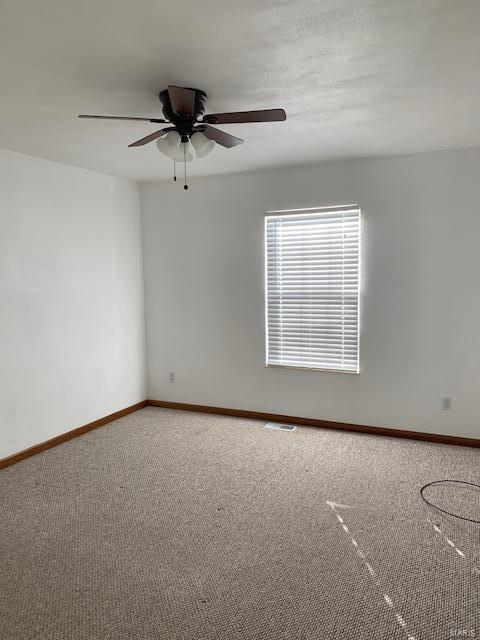 101 Mueller Lane Waterloo, IL 62298 - Photo 7 of 10 Gallery Image 7