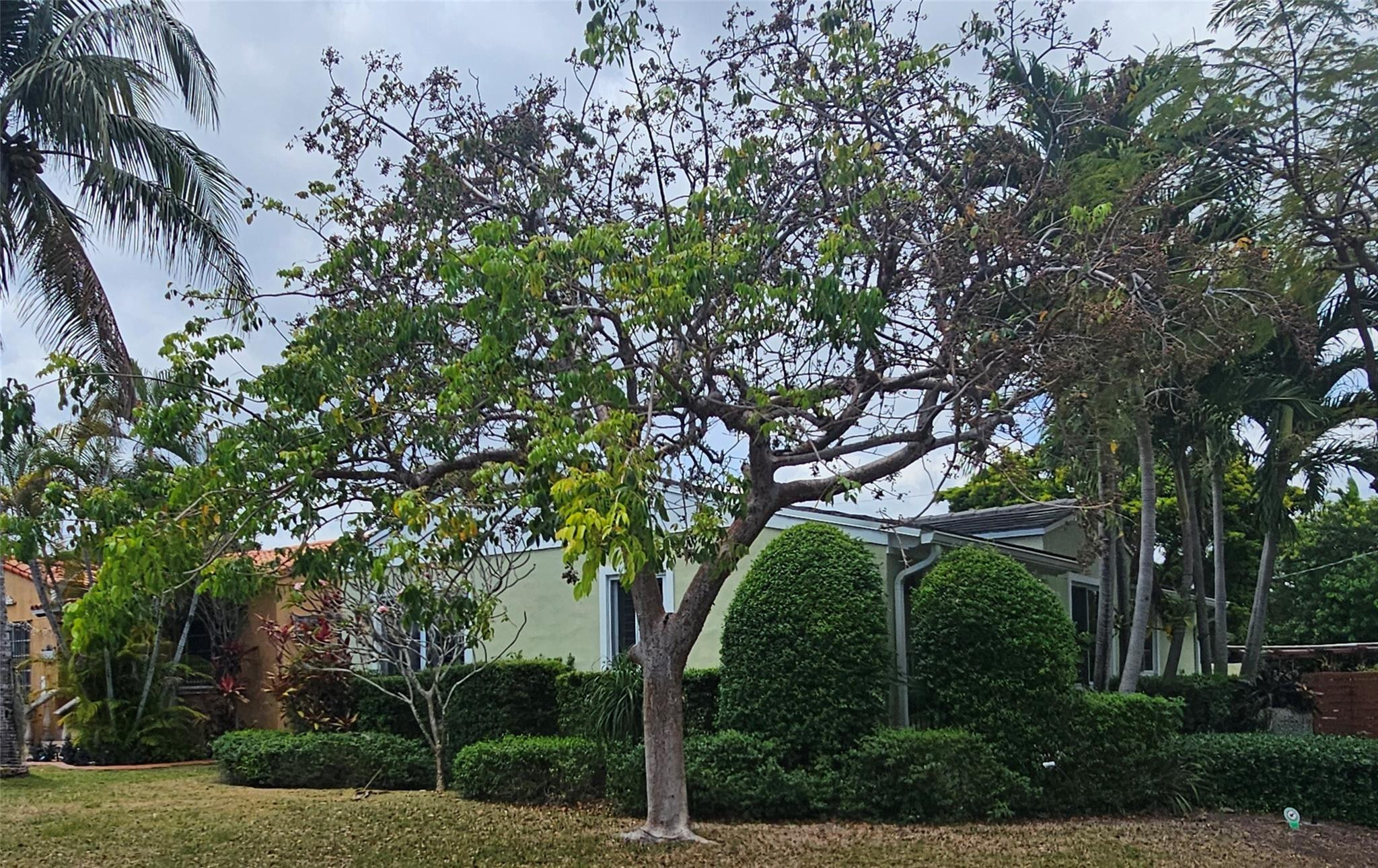 Undisclosed Address Miami, FL 33145 - Photo 54 of 56 Photo 54