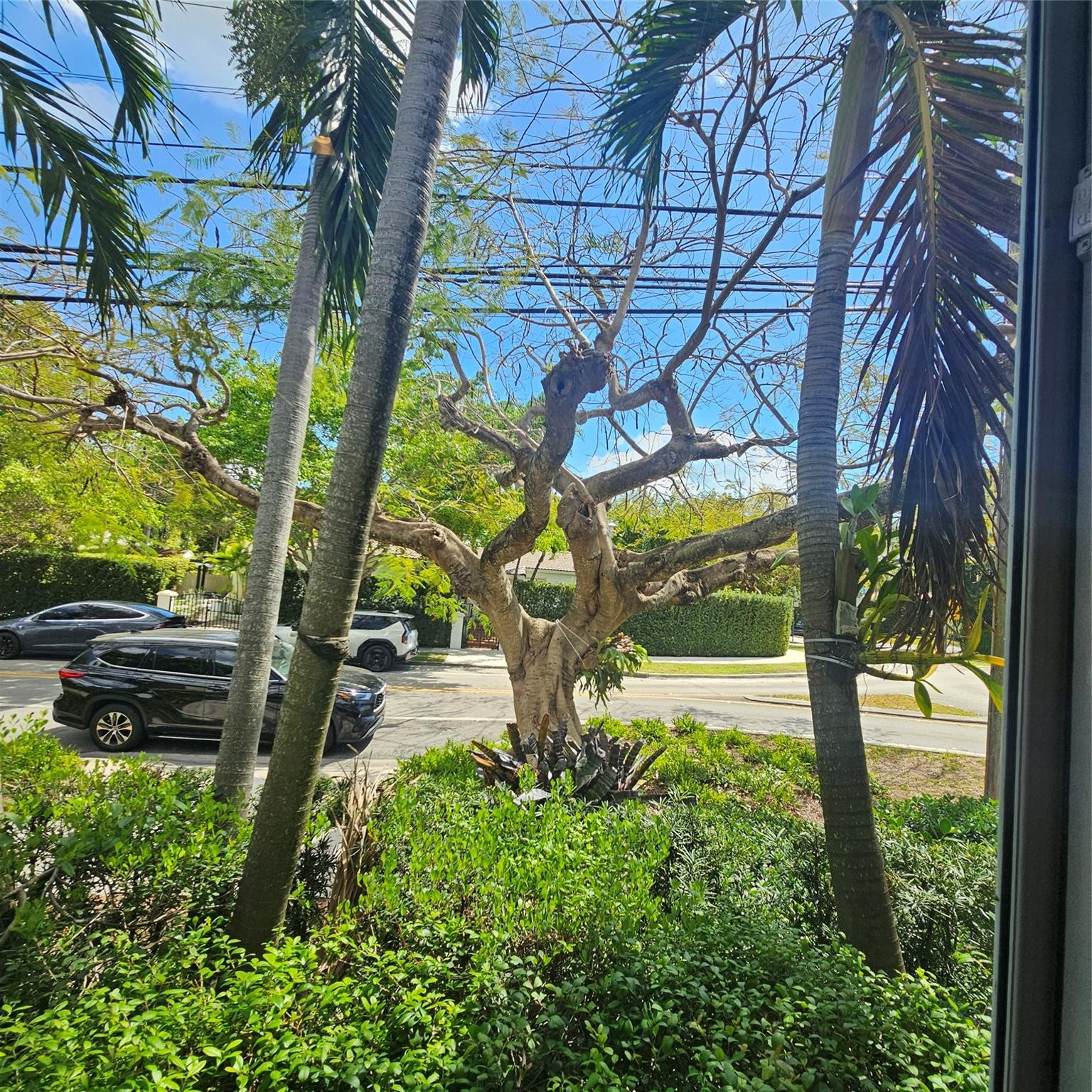 Undisclosed Address Miami, FL 33145 - Photo 56 of 56 Photo 56